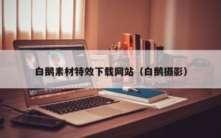 冠县白鹅素材特效下载网站（白鹅摄影）